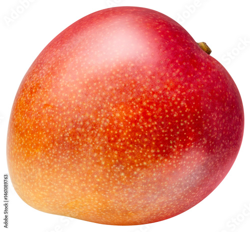 Fresh Red Mango isolated on white background, Red Taiwan Ping Guo Wen Mango with water drop on white background PNG file.