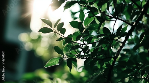 Spring green foliage border with a blurred sunlight background, a nature and fresh concept for banner design. Green leaves in the sunlight, a nature and spring concept.
