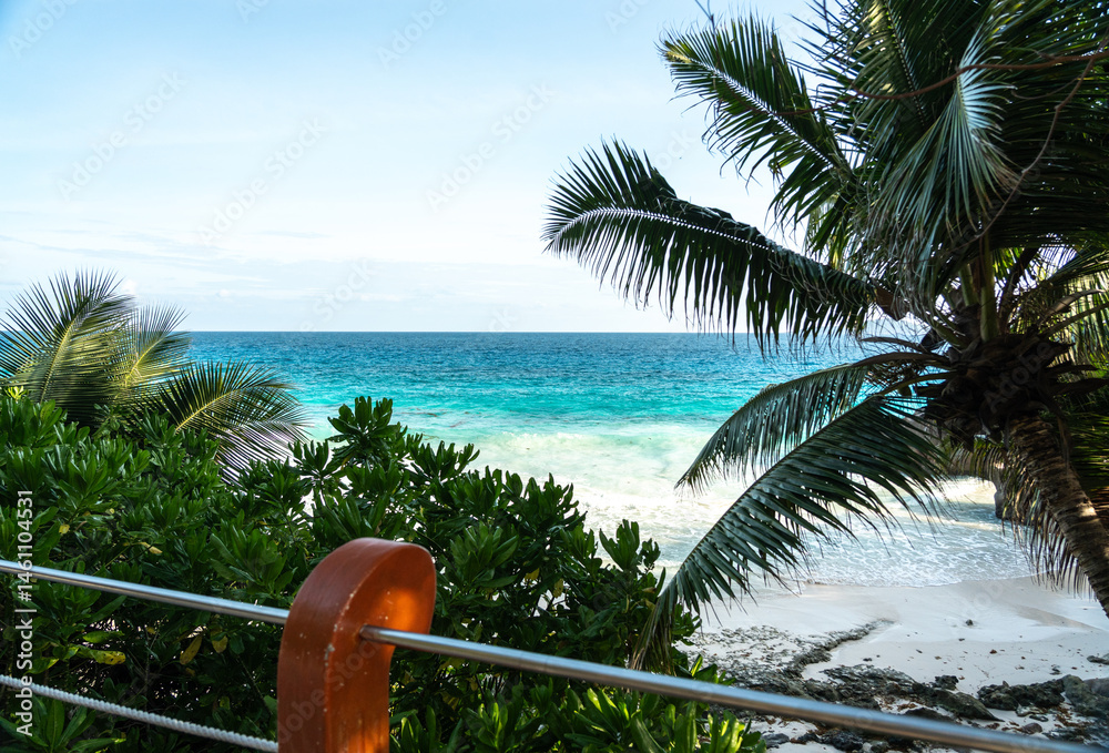 View from the road at Anse Patates showing tropical palms, white beach, ocean waves