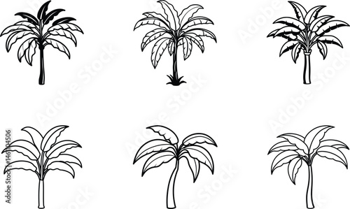 Banana Trees Illustration Collection