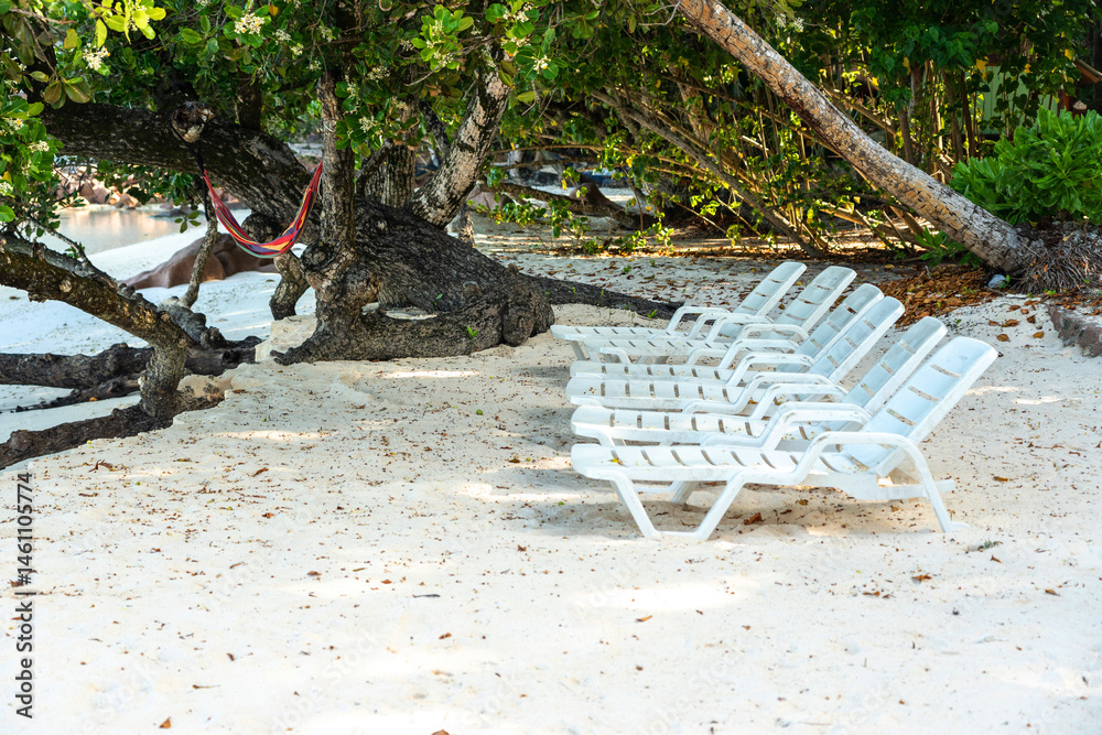 Anse Severe beach on La Digue island offers tropical sand with loungers under trees