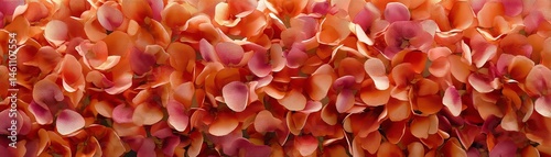Obraz na płótnie Colorful petals in shades of orange and pink, creating a vibrant floral pattern. w salonie