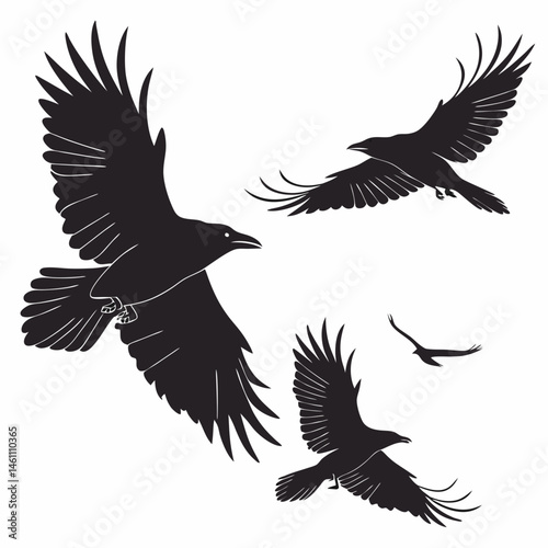 Majestic Ravens in Flight Black Bird Silhouette Wings Spread Soaring Nature Wildlife Avian Art Dark Gothic Mystery
