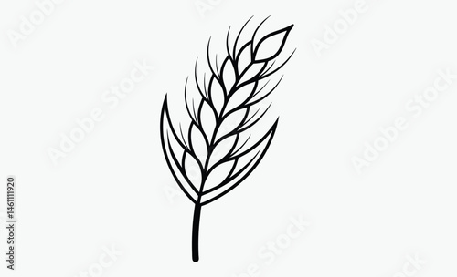 wheat ear silhouette, Ear of Wheat, Barley or Rye, Vector icon isolated on white background