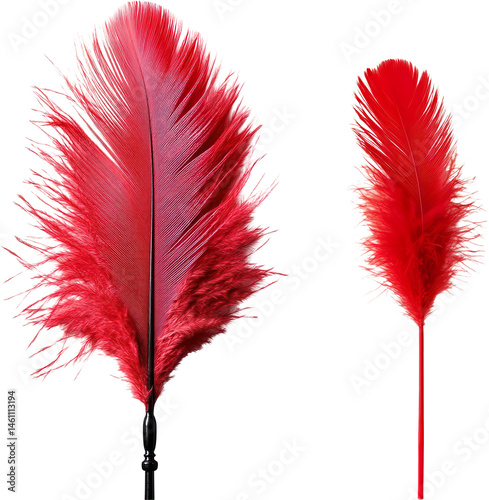 Feather Duster on a Transparent Background