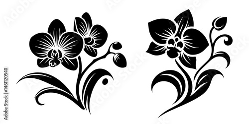 Orchid Flower Silhouette Vector