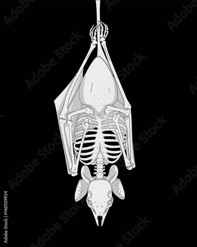 Creepy Cute Bat T-Shirt,Vintage anatomical bone structure graphic t-shirt design
