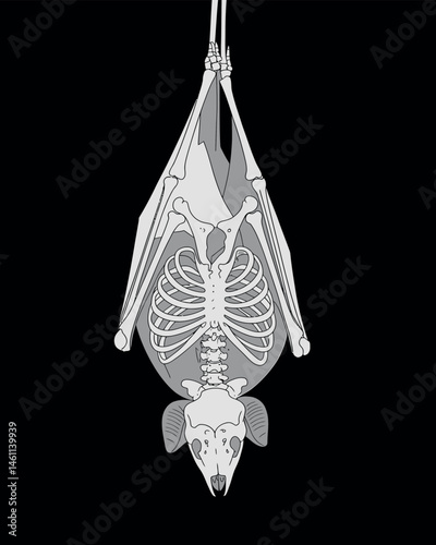 Creepy Cute Bat T-Shirt,Vintage anatomical bone structure graphic t-shirt design