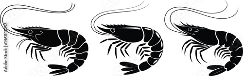 Silhouette illustration of three black shrimp on a white background for seafood themes