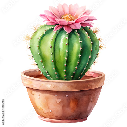 Potted Cactus Plant with Flower Watercolor on White photo