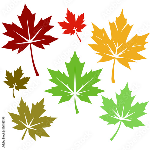 Maple Leaves Vector Illustration – Autumn Maple Leaf Clipart & Fall Design Elements