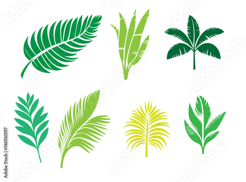 Palm Leaves Tropical Vector – Summer Palm Leaf Clipart & Paradise Design Elements
