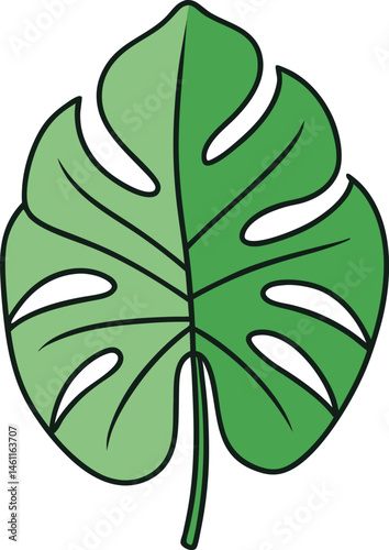 Tropical Monstera Leaf