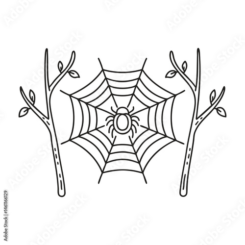 A spider weaving at the center of a web between two branches