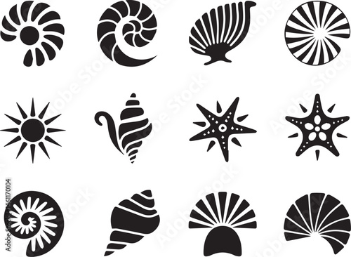 Black and white vector set of seashells and starfish illustrations