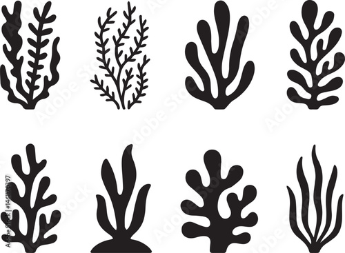 Black silhouettes of seaweed algae aquatic plants isolated on white background