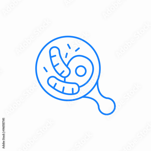 bacteria magnifying glass icon sign vector