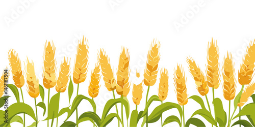 golden wheat ears field isolated on white background agriculture vector graphic design