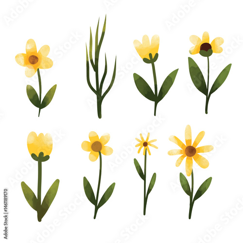 Watercolor set of yellow watercolor texture flowers, dan leaves. beautiful flowers. For wedding card, invitation, greeting card, or decoration