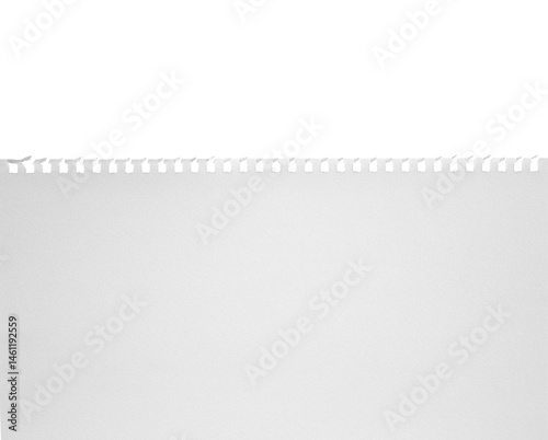 破れたリングノートの紙　背景透過