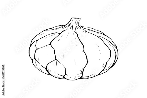  Bluefig Monochrome Vector Render — AI Fruit Art Design