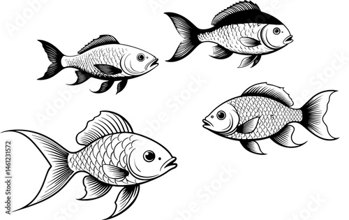 set of fish vector