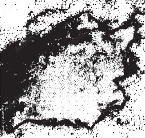 A textured black and white depicts a blurred outline of a map.
