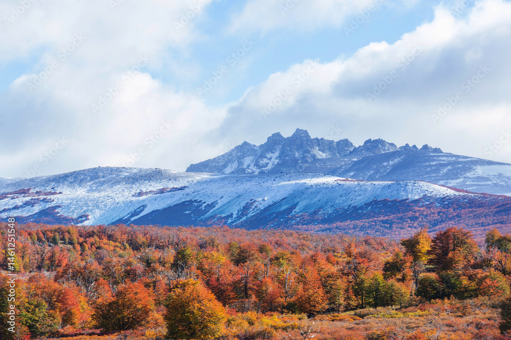 Autumn in Patagonia