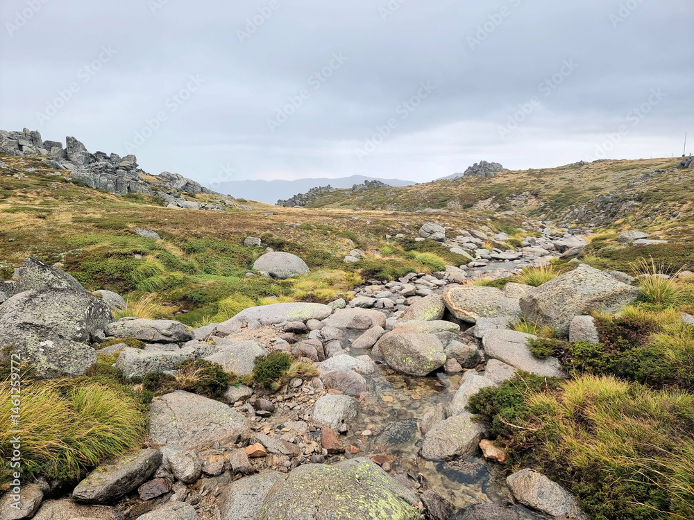 Obraz premium A small alpine creek on the Kosciuszko Summit Walk in the New South Wales Snowy Mountains