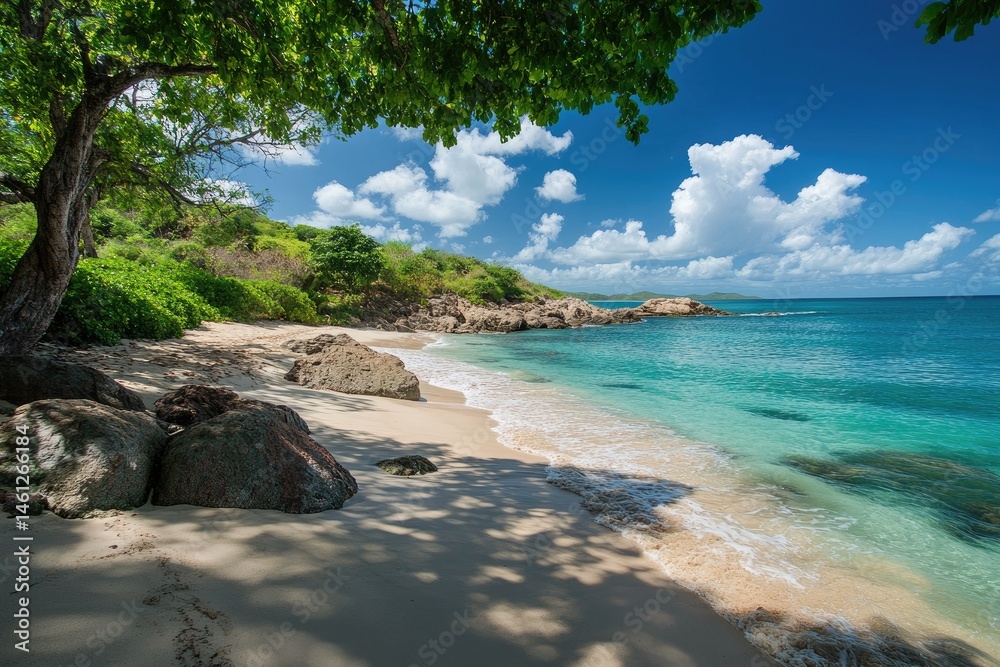 Tropical beach scene under a lush tree canopy. Tranquil turquoise water laps gently onto a sandy shore