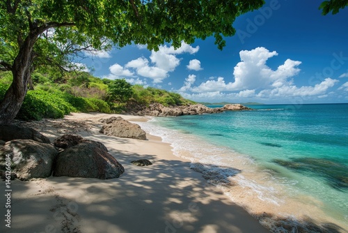 Obraz na płótnie Tropical beach scene under a lush tree canopy. Tranquil turquoise water laps gently onto a sandy shore w salonie