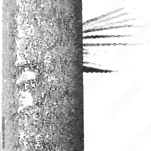 A textured tree trunk transitions into a blurred linear ray of light.