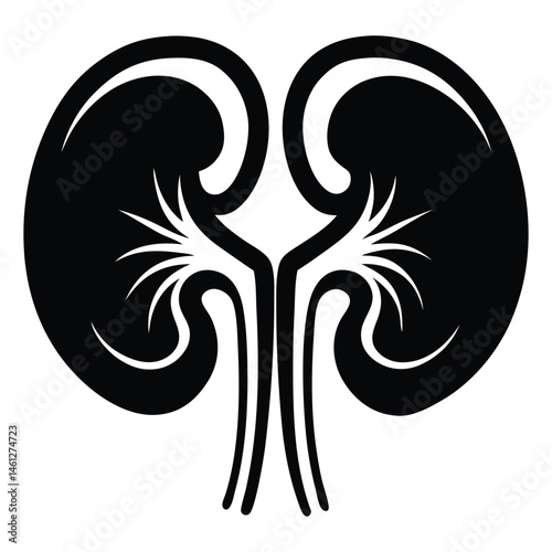 Black silhouette of a kidney, Human kidney anatomy. Kidney medical science vector illustration. Internal human organ: kidney, ureter and tract, renal artery, aorta and vein