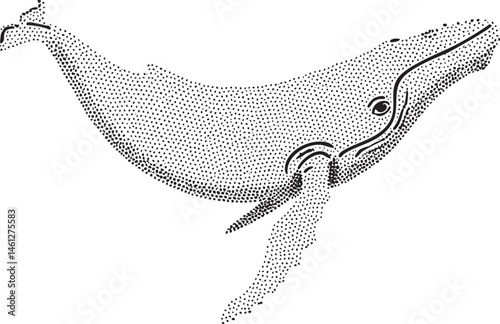 A solitary whale swims gracefully through the ocean depths.