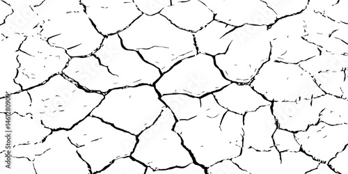 The white background features irregular patterns resembling parched earth.Gray textured background with blank space.Cracked white background with a dry, textured style.
 
