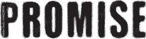 Bold white displays the word 'Promise' on a black background.