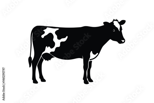 silhouette of a cow