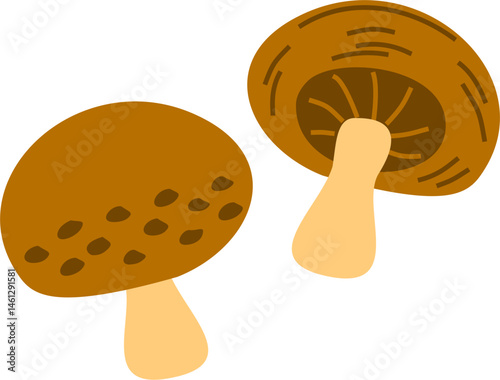 Brown Mushrooms, Fresh Vegetable Flat Illustration
