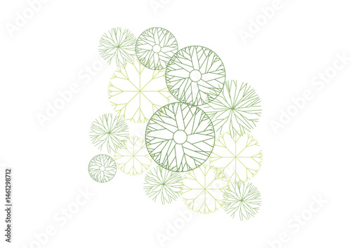 architecture drawing plant tree top view plan greenery vegetation vector. design nature architectural landscape set element illustration bush garden flora sapling minimal. architect isolated.