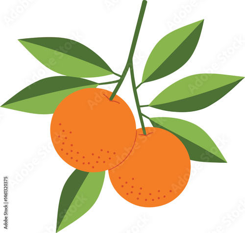 orange branch vector drawing