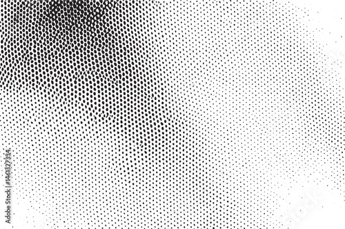 A grayscale showcases a dynamic gradient transition from dark to light.