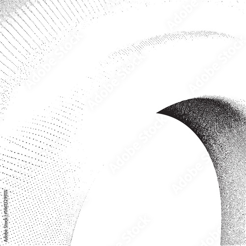 A dynamic textured curve dominates the 's composition.