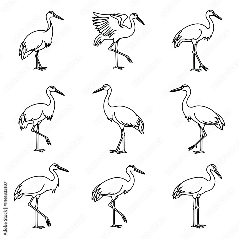 Fototapeta premium Crane (bird) Various pose Line Art Illustrations