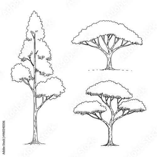 Set of minimalist hand-drawn architectural tree illustrations in side view, perfect for CAD drafting, landscape design, and architectural projects.

