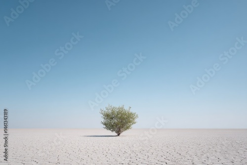 lone sapling sprouts from cracked earth under vast clear sky minimalistic composition with ample copy space highlighting