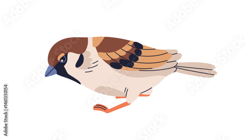 Bird, house tree sparrow walking, pecking, searching food, foraging. Small feathered fauna in profile. Passer domesticus, wild nature. Flat graphic vector illustration isolated on white background