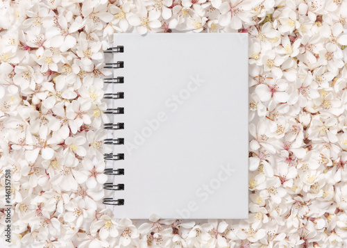 Obraz na płótnie Gray blank spiral notebook over white cherry flowers top view, spring wedding mockup w salonie