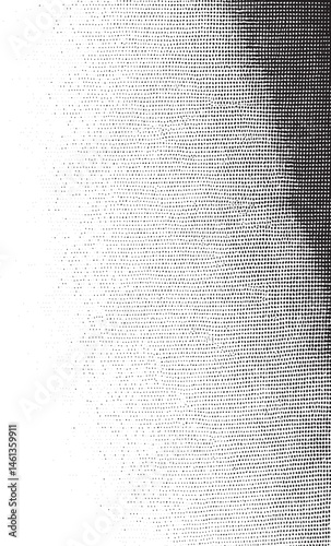 A grayscale portrait reveals a textured face with subtle tonal variations.
