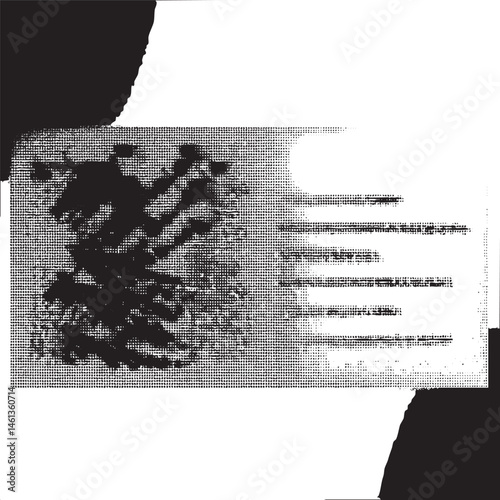 A grayscale displays a chaotic textured resembling tangled branches.