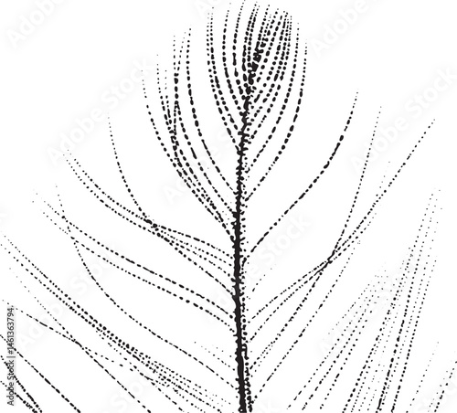 A delicate textured branch extends upwards from a central stem.